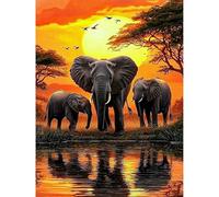 KEYIFA Elefante Dipingere con i Numeri per Adulti, Painting by Numbers Kit con Pennelli e Acrilico Pigmento, Fai da te Olio La Pittura di Numeri Kit, Decora la Casa 30x40cm