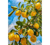 KEYIFA Limone Albero Dipingere con i Numeri per Adulti, Painting by Numbers Kit con Pennelli e Acrilico Pigmento, Fai da te Olio La Pittura di Numeri Kit, Decora la Casa 30x40cm