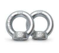 KeyMet GmbH - 2 Dadi ad Anello DIN 582 M16 DIN 580 C15