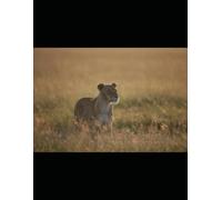 Keys To Life Cross Forgiveness and Grace: An attempt to meet the desires of people to access the very "Keys To Life."