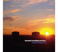 Keysound Recordings Presents: Certified Connections - Various ... (Audio cd)