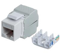 Keystone RJ45 Cat6 UTP bianco tool-less - Intellinet IWP-MD C6/TLU