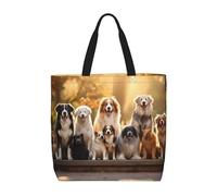 Kfjghhl Borsa per cani di razza grande capacità a mano con cerniera a spalla donna signora ragazza negozio borsa lavoro college quotidiano