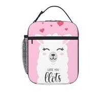 Kfjghhl Borsa termica per il pranzo con motivo cammello con cartoni animati, da donna, per adulti, da lavoro, per scuola, picnic, viaggi, barbecue