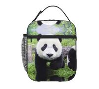 Kfjghhl Borsa termica per il pranzo con panda che cammina sulla prateria, da donna, per adulti, da lavoro, borsa termica per il pranzo, per scuola, picnic, viaggi, barbecue