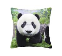 Kfjghhl Lovely Panda Walking On The Grassland Throw Pillow Covers Decorative Farmhouse Sofa Pillow Case Soft Square Pillow Cover