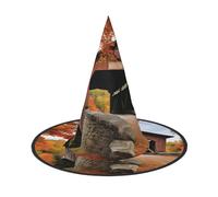 KFRXXZQB Albany - Cappello da strega con ponte coperto, copertura completa, per Halloween, festival, feste e feste