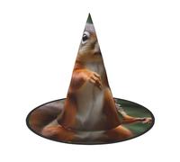 KFRXXZQB Divertente scoiattolo animale, copertura completa, per Halloween, copricapo ripiegabile per festival, feste e feste 2 pezzi