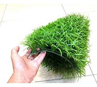 KFXYSM Erba Sintetica per Esterno,Prato Finto 4 Pezzi Verde Erba Artificiale Creativo Micro Paesaggio Falso Prato con Simulazione in Miniatura Giardino Ornamento Decorazione Acquario 25x25 cm