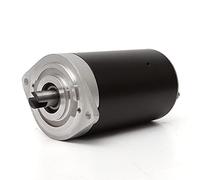 KFXYSM Motorino Elettrico,Motore 800 W Pompa A Petrolio Antico Pompa A Petrolio Motore Motore Filo di Rame Piccolo Motore(ZDY208)