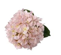 KFXYSM Ortensie Finte Realistiche Fiori Finti Fiori artificiali di ortensia seta da 58 cm for decorazioni tavola for matrimoni, feste in casa, hotel, soggiorni(A06)