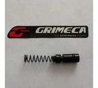 KG1007 REVISIONE POMPA FRENO ANTERIORE BETA RR 50 TUTTI I MODELLI