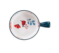 KG7HQRP Piatti in ceramica istantaneo ciotola per noodle per la casa con manico creativo ciotola cottura colazione da forno ciotola per insalata di frutta (colore: D) (grande)