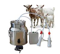 Kgfvesdc Kit Di Mungitura Mungitrice,Mungitrice Per Capre E Pecore Elettrica【14L,Capezzoli In Silicone/Secchio Acciaio Inossidabile 304/Con 2 Tettarelle】Per Mungere Mucche E Pecore(Per Le Pecore)