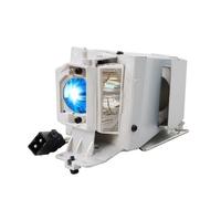 KGVBZBR Accessori for lampade adatti for SP.8VH01GC01 BL-FP190D BL-FP190E BL-FP195D BL-FP195E BL-FU195B BR323 BR326 DASSHG DH1008(SP.8VH01GC01-CBH)