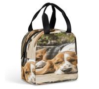 KHAUERBC Borsa per il pranzo con cane che riposa, per donne e uomini, contenitore per il pranzo, a prova di perdite, resistente e riutilizzabile, borsa tote per lavoro, viaggi, attività all'aperto