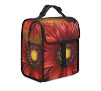 KHAUERBC Borsa per il pranzo con doppio scomparto a prova di perdite, borsa termica con manico, borsa per il pranzo per lavoro e viaggi