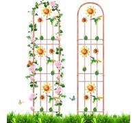 KHayRovies Set di 2 tralicci in metallo, traliccio da giardino, decorazione da giardino, traliccio per rose, fiori e piante rampicanti (colibri)