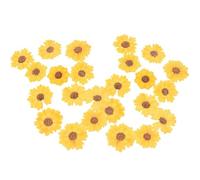KHBUAB 24 Pezzi Fiori Secchi di Margherita Gialli per Artigianato Fai da Te Materiali Naturali e Design Elegante per Decorazioni e Scrapbooking