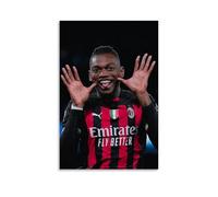 KHCEEC Rafael Leão Poster con figura decorativa da parete in metallo, stile classico, vintage, stampa su tela, decorazione estetica per la casa, 30 x 45 cm, senza cornice