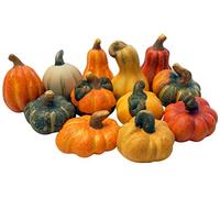 khevga - Decorazione autunnale, zucca decorativa, in terracotta, set da 12 pezzi