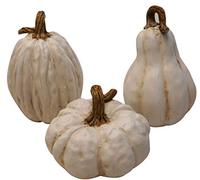 khevga - Set di zucche decorative autunnali