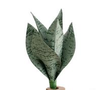 KHIronHive Pianta di serpente artificiale, 25 cm, realistica in morbido PVC, per decorazione di casa e ufficio, a bassa manutenzione, per soggiorno, camera da letto, bagno (verde chiaro)