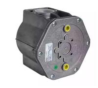 KIAOPU Disponibile for Pietro Fiorentini Filtro Gas FMF10608F1BA DN80 FMF10609F1BA DN100 10601 DN15 10602 DN20 10603 DN25 10604 DN32 10605 DN40 Accessori Generali (10602 DN20)(10602 DN20)