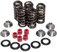KIBBLEWHITE 80-80206 YZ450 SPRING KIT YAMAHA YFZ 450 SPE2 SPECIAL EDITION 2 2007