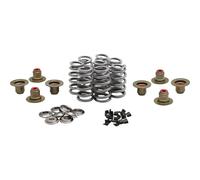 Kibblewhite Alte Prestazioni Ovate Filo Alveare Valvola Molla Kit #20-24350