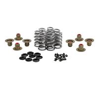 Kibblewhite Precision 20-24400 Alte Prestazioni Ovate Filo Alveare Valvola Spri