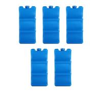 KiBcsLic 5 Blocchi di Ghiaccio per Alimenti e Bevande, Scatola da 600 ml, Blu