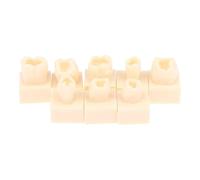 KiBcsLic 8 Pezzi Modello di Denti in Resina per Uso Didattico Strumenti di Pratica per L'insegnamento