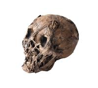 KiBcsLic Prop Scheletro Finitura Consumata Teschio e Struttura Ossea Decorativi Superficie Ruvida Decorazione Scheletro Realistico per Esposizione, Testa Di Cadavere