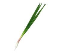 KiBcsLic Verdura Artificiale Simulata Finta Realistica Decorazione PU Stampata Modellata Dettagliata Adatta per Casa Negozio Lezione Natale Festa, Erba Cipollina