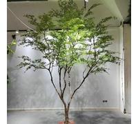 KIBONCY Albero di acero giapponese verde artificiale di grande formato for il design di interni e l'impatto visivo delle finestre(5mx4m)