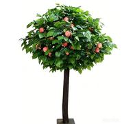 KIBONCY Artificial Orange Tree With Realistic Fruits, Large Simulation Tree Suitable with Solid Wood Trunk, Indoor Home Hotel Mall Decorative(2x1.5m)