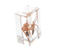 KICHOUSE 1 Pz Campione di educazione biologica morto esemplari Fornitura decorazione di ragno Halloween ragno giocattolo ragazzo impostore esemplare animale bug per i resina