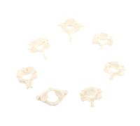 KICHOUSE 1 Set Modello Della Colonna Vertebrale Cervicale Ossa Vertebre Colonna Vertebrale Anatomia Ossea Modello Della Colonna Vertebrale Modello Della Colonna Vertebrale Umana Modello