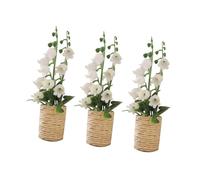 KICHOUSE 12 Set 3 Piante Finte in Miniatura per Decorazione Casa delle Bambole Piante Verdi Simulate Portatili per Micro Paesaggi e Ambienti Piccoli