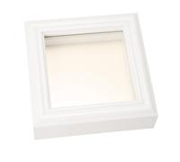 KICHOUSE Cornice Espositiva e Coperchio per Insetti 4x4 Pollici con Finestra