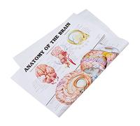 KICHOUSE Poster Di Analisi Scheletro Cervello Scienza Poster Del Nervoso Classe Educativo Poster Di Anatomia Dello Scheletro Manifesto Del Corpo Umano Alunno Tela
