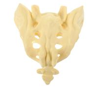 Kichvoe Modello Anatomico del Sacro in Pvc Resistente Infrangibile, Modello di Pratica Medico Portatile per Ospedali e Scuole di Medicina, Strumento Didattico per Educazione e Ricerca