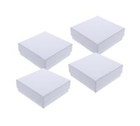 Kichvoe Scatola per Provette da Laboratorio in Materiale Bianco con 100 Posti e Coperchio, Isolamento Termico e Organizzazione Migliorata, per Gestione Campioni in Laboratorio, Confezione