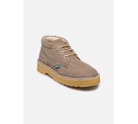 Kickers - DALTREY CHUCK W Beige - Stivaletti e tronchetti 37 Beige