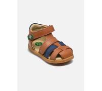Kickers - KICK POD Marrone - Sandali e scarpe aperte 20 Marrone