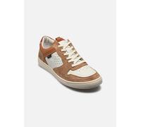 Kickers - KICK SACKERS Marrone - Sneakers 43 Marrone