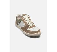Kickers - KICK SACKERS Verde - Sneakers 46 Verde