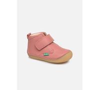 Kickers - Sabio Rosa - Stivaletti e tronchetti - Taglia 22 22 Rosa