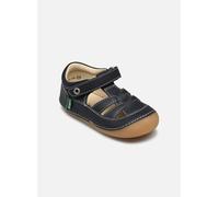 Kickers - Sushy Blu - Ballerine 20 Blu